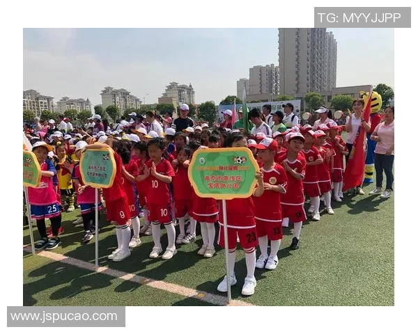 南京飞盘队的奋斗历程与成长故事全景纪实